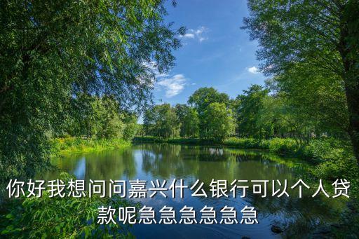 嘉興貸款，嘉興那里可以給外地打工的貸款啊謝謝