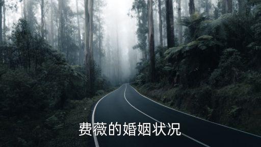 費(fèi)薇的婚姻狀況