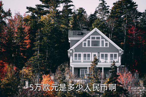 五萬歐元是多少人民幣，5萬歐元是多少人民幣啊