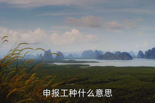申報工種什么意思