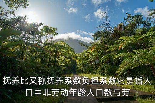 撫養(yǎng)比又稱(chēng)撫養(yǎng)系數(shù)負(fù)擔(dān)系數(shù)它是指人口中非勞動(dòng)年齡人口數(shù)與勞