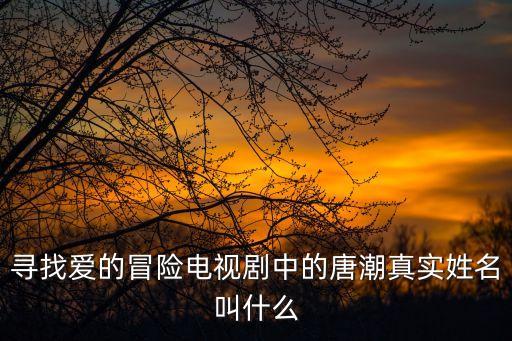 尋找愛(ài)的冒險(xiǎn)電視劇中的唐潮真實(shí)姓名叫什么