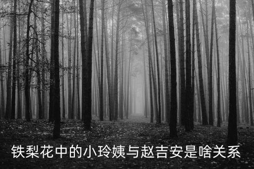 鐵梨花中的小玲姨與趙吉安是啥關(guān)系