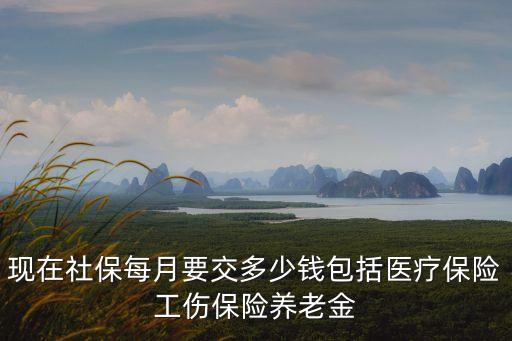 現(xiàn)在社保每月要交多少錢包括醫(yī)療保險(xiǎn)工傷保險(xiǎn)養(yǎng)老金
