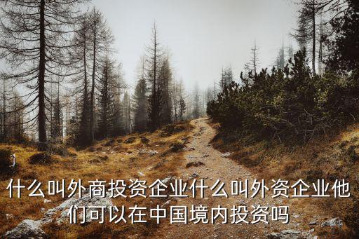 外資，什么叫外商投資企業(yè)什么叫外資企業(yè)他們可以在中國境內(nèi)投資嗎