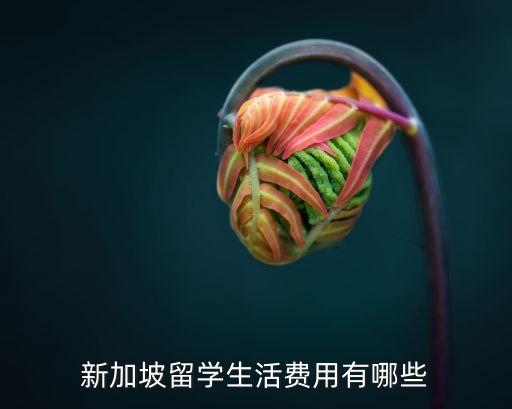 新加坡留學(xué)生活費(fèi)，新加坡留學(xué)生活費(fèi)是多少