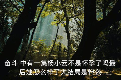 奮斗 中有一集楊小云不是懷孕了嗎最后她怎么樣了大結(jié)局是什么