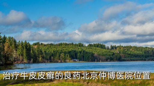 治療牛皮皮癬的良藥北京仲博醫(yī)院位置