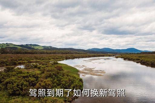 換駕照，如何申換領新駕駛證