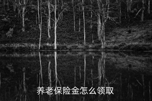 養(yǎng)老保險(xiǎn)金怎么領(lǐng)取
