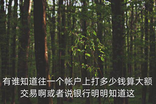有誰知道往一個(gè)帳戶上打多少錢算大額交易啊或者說銀行明明知道這
