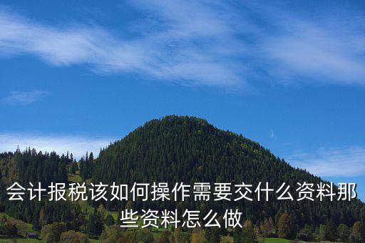 會(huì)計(jì)報(bào)稅該如何操作需要交什么資料那些資料怎么做