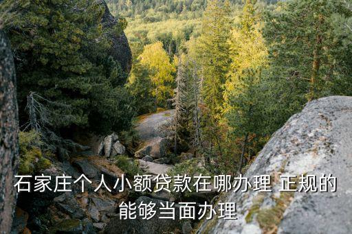 石家莊個(gè)人小額貸款在哪辦理 正規(guī)的 能夠當(dāng)面辦理