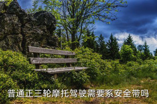 普通三輪摩托車，普通三輪摩托車有哪些