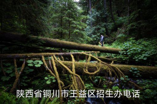 銅川市教育局，銅川市王益區(qū)教育局暑期放假不