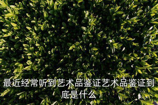 最近經(jīng)常聽(tīng)到藝術(shù)品鑒證藝術(shù)品鑒證到底是什么