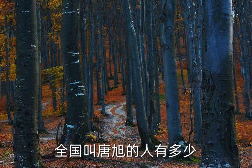 全國叫唐旭的人有多少