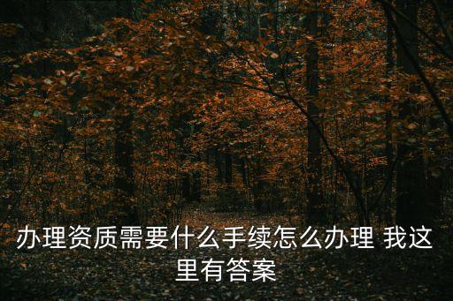 辦理資質(zhì)需要什么手續(xù)怎么辦理 我這里有答案