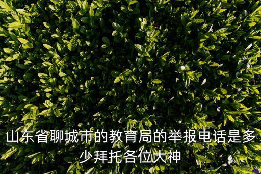 聊城教育局電話，山東省聊城市的教育局的舉報電話是多少拜托各位大神
