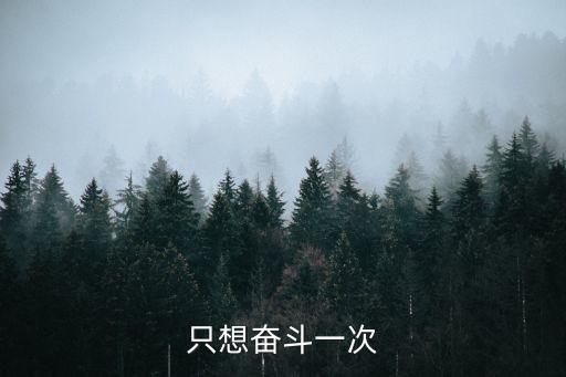 只想奮斗一次
