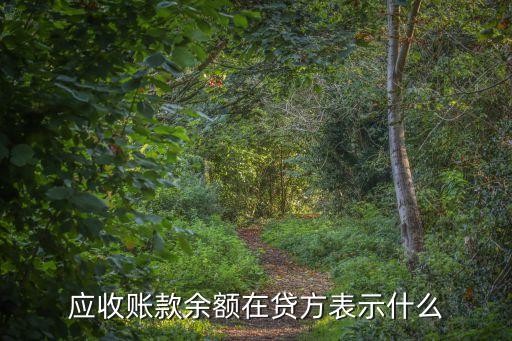 應(yīng)收賬款貸方余額表示什么，應(yīng)收賬款的借貸方余額分別代表什么