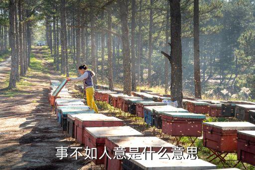 不如人意，事不如人意是什么意思