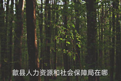 歙縣人力資源和社會保障局在哪