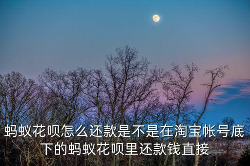 螞蟻花唄怎么還款是不是在淘寶帳號(hào)底下的螞蟻花唄里還款錢直接