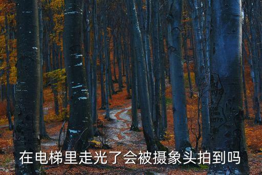 在電梯里走光了會(huì)被攝象頭拍到嗎