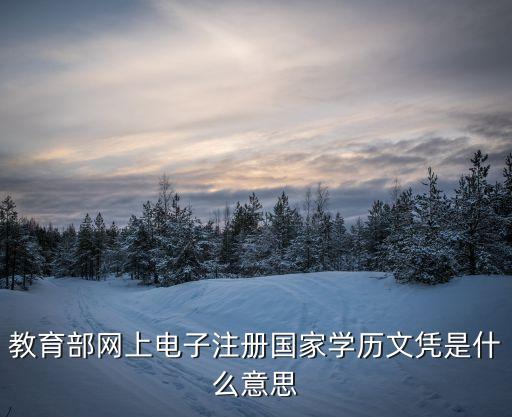 教育部網(wǎng)上電子注冊(cè)國家學(xué)歷文憑是什么意思
