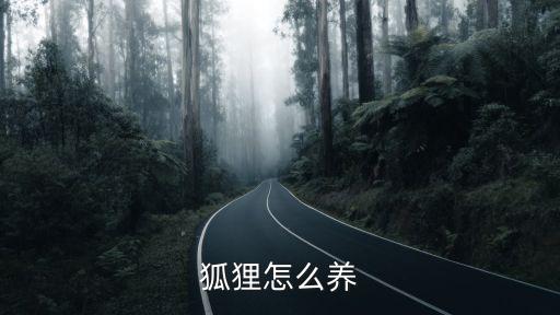 狐貍怎么養(yǎng)