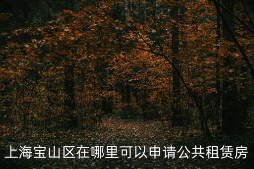 寶山公租，上海寶山區(qū)在哪里可以申請公共租賃房