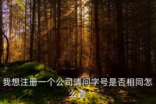 公司名稱查重系統(tǒng)，新公司注冊名稱如何在工商網(wǎng)上查詢是否重復(fù)