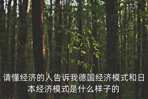 請懂經(jīng)濟(jì)的人告訴我德國經(jīng)濟(jì)模式和日本經(jīng)濟(jì)模式是什么樣子的
