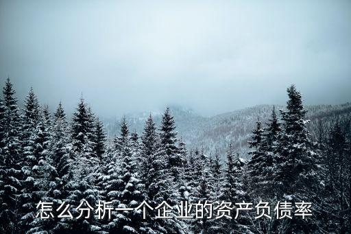 怎么分析一個企業(yè)的資產(chǎn)負(fù)債率