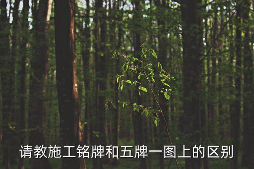 請教施工銘牌和五牌一圖上的區(qū)別