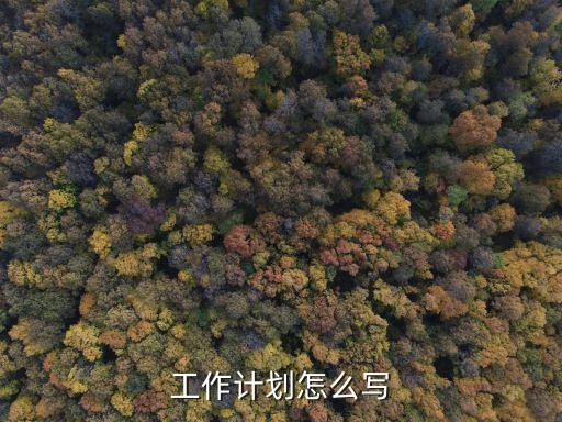 制定工作計劃，如何制定年度計劃