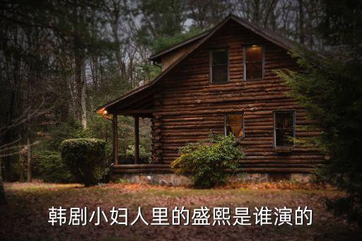 韓劇小婦人里的盛熙是誰演的