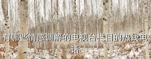 有哪些情感調(diào)解的電視臺欄目的熱線電話