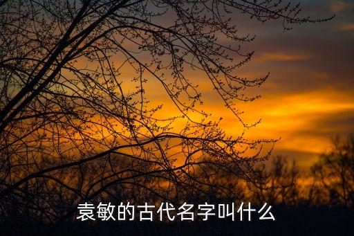 袁敏，有誰(shuí)知道畫家袁敏 最擅長(zhǎng)的是畫什么呀