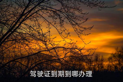 駕駛證到期去哪里換證，駕駛證到期到哪辦理