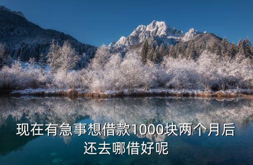 我想借錢(qián)，我想貸2000怎么弄啊