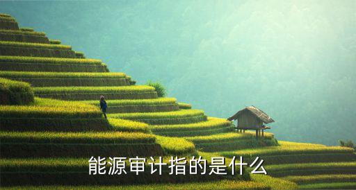 能源審計(jì)指的是什么