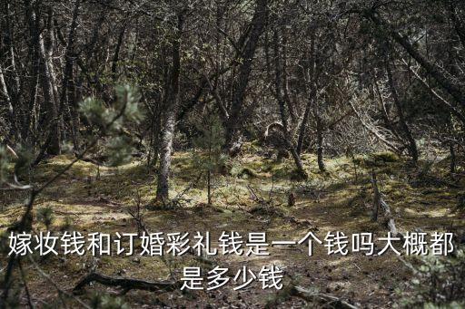 嫁妝錢和訂婚彩禮錢是一個(gè)錢嗎大概都是多少錢