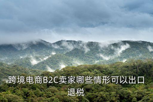 跨境電商出口退免稅，跨境電商B2C賣家哪些情形可以出口退稅