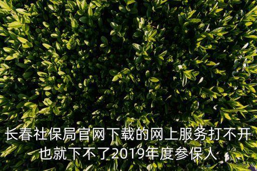 長春社保局官網(wǎng)下載的網(wǎng)上服務(wù)打不開也就下不了2019年度參保人
