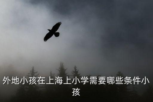 外地小孩在上海上小學(xué)需要哪些條件小孩