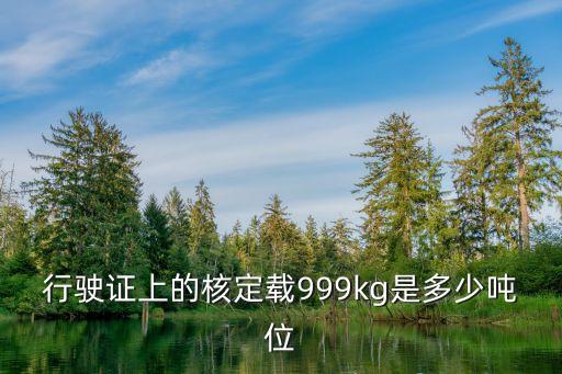 核定載質(zhì)量，行駛證上的核定載999kg是多少噸位
