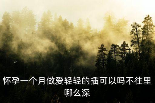懷孕一個(gè)月做愛(ài)輕輕的插可以嗎不往里哪么深