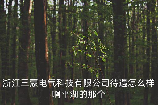 浙江三蒙電氣科技有限公司待遇怎么樣啊平湖的那個